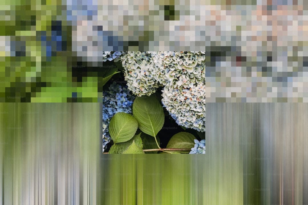 盖尔·加朵回应《白雪公主》票房惨败